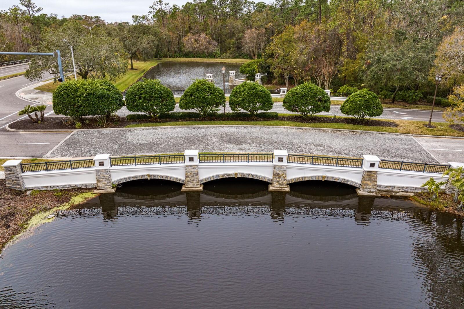 14849 TUDOR CHASE DR, TAMPA, FL, 33626