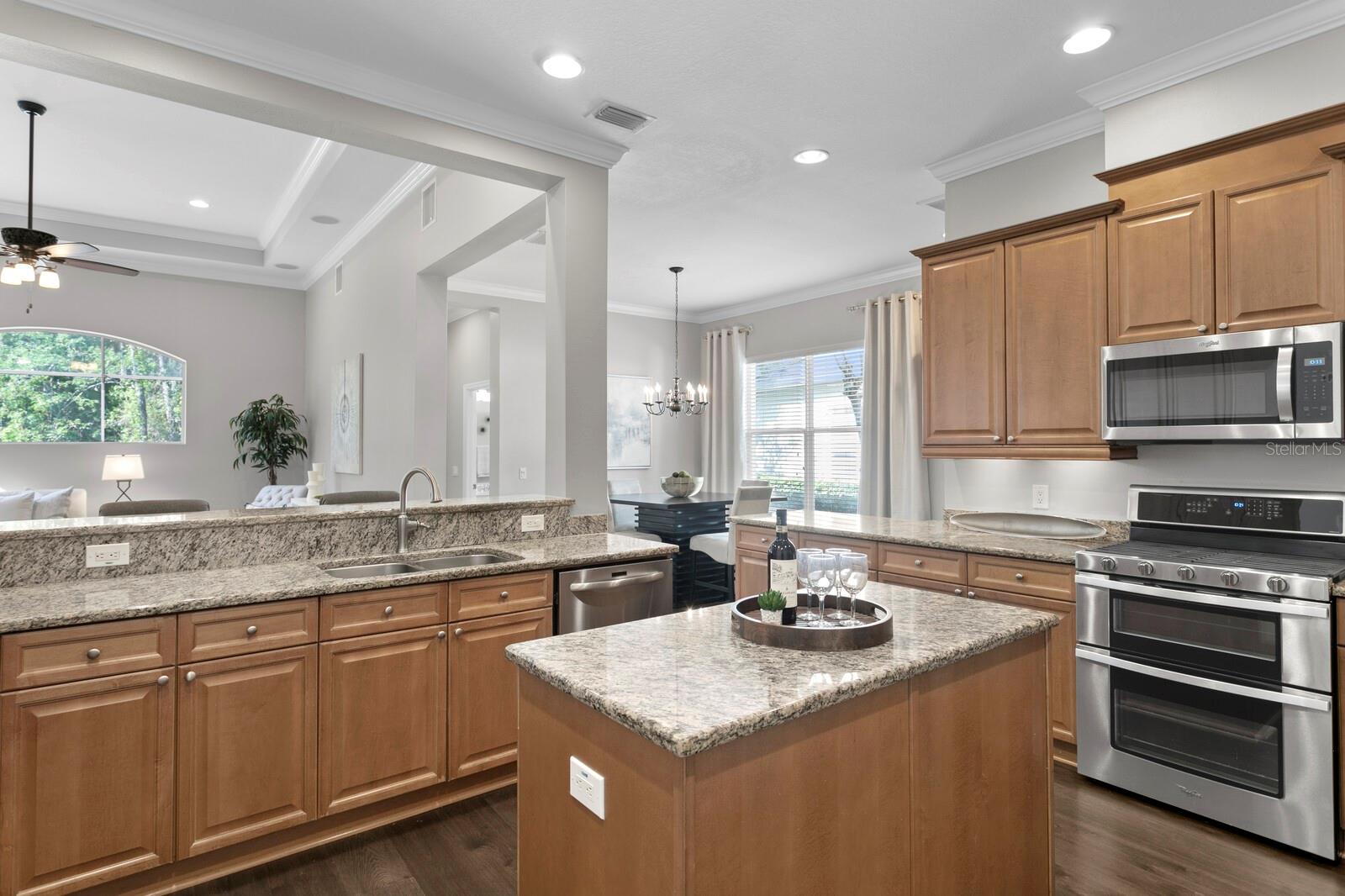 14849 TUDOR CHASE DR, TAMPA, FL, 33626