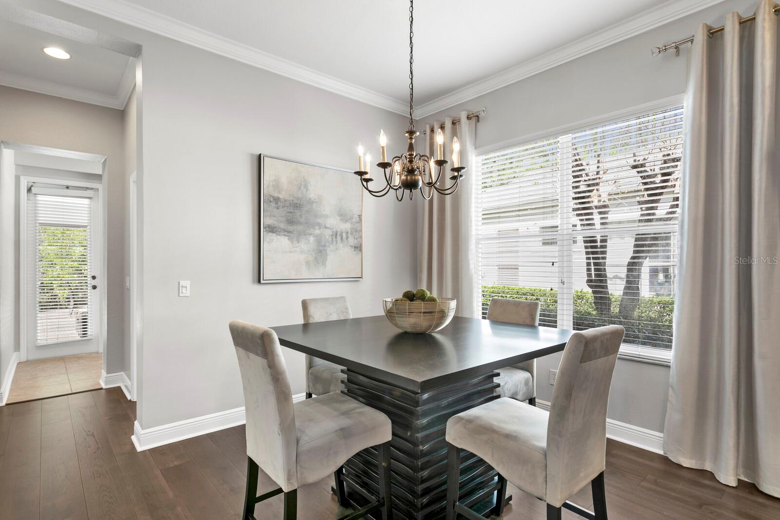 14849 TUDOR CHASE DR, TAMPA, FL, 33626