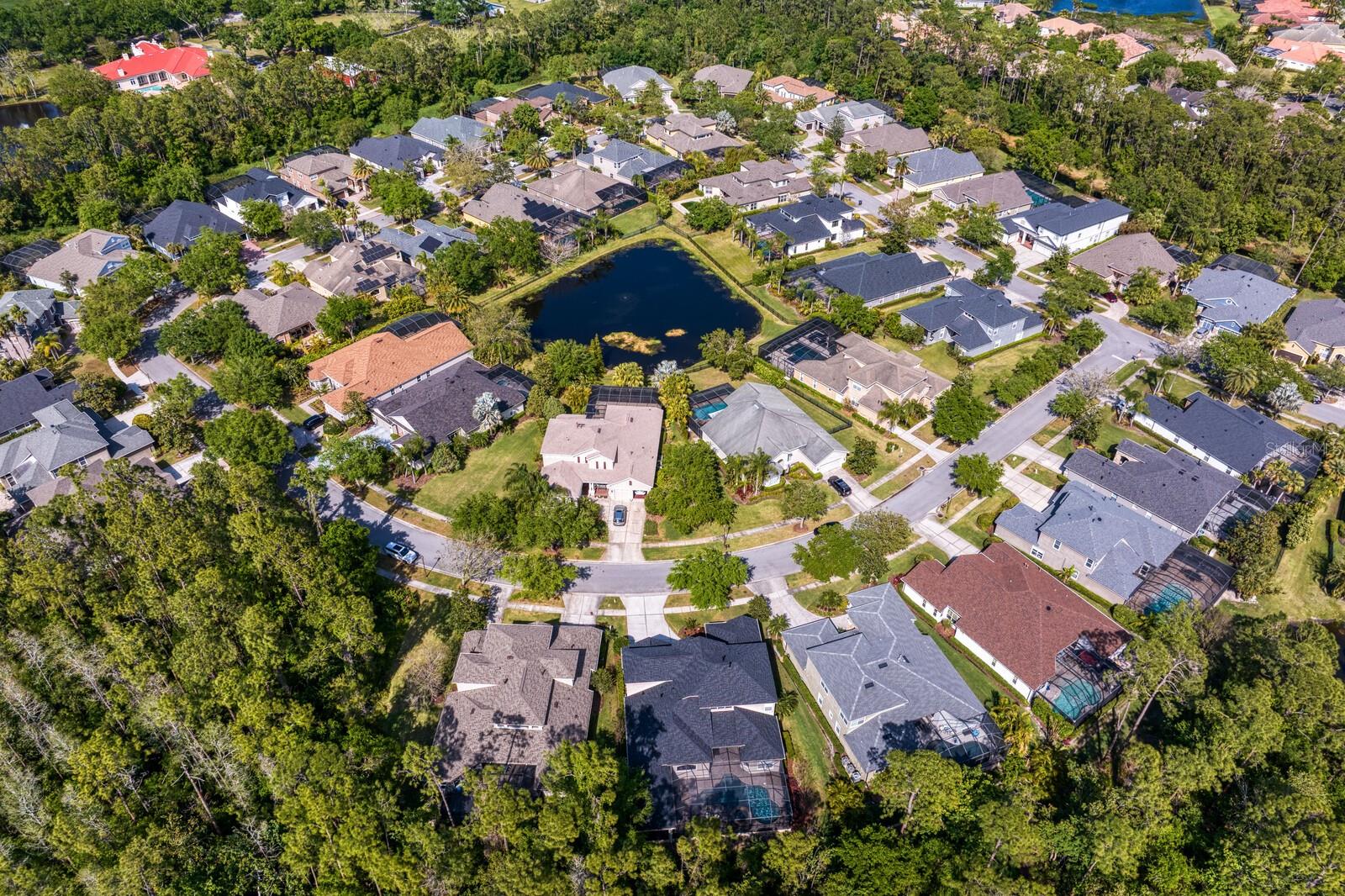 14849 TUDOR CHASE DR, TAMPA, FL, 33626