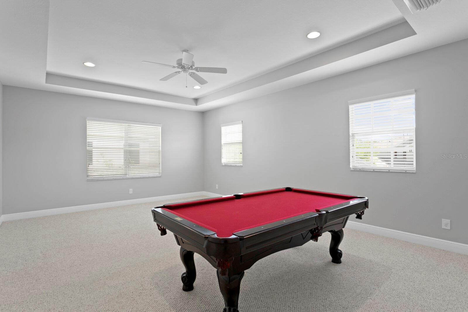 14849 TUDOR CHASE DR, TAMPA, FL, 33626