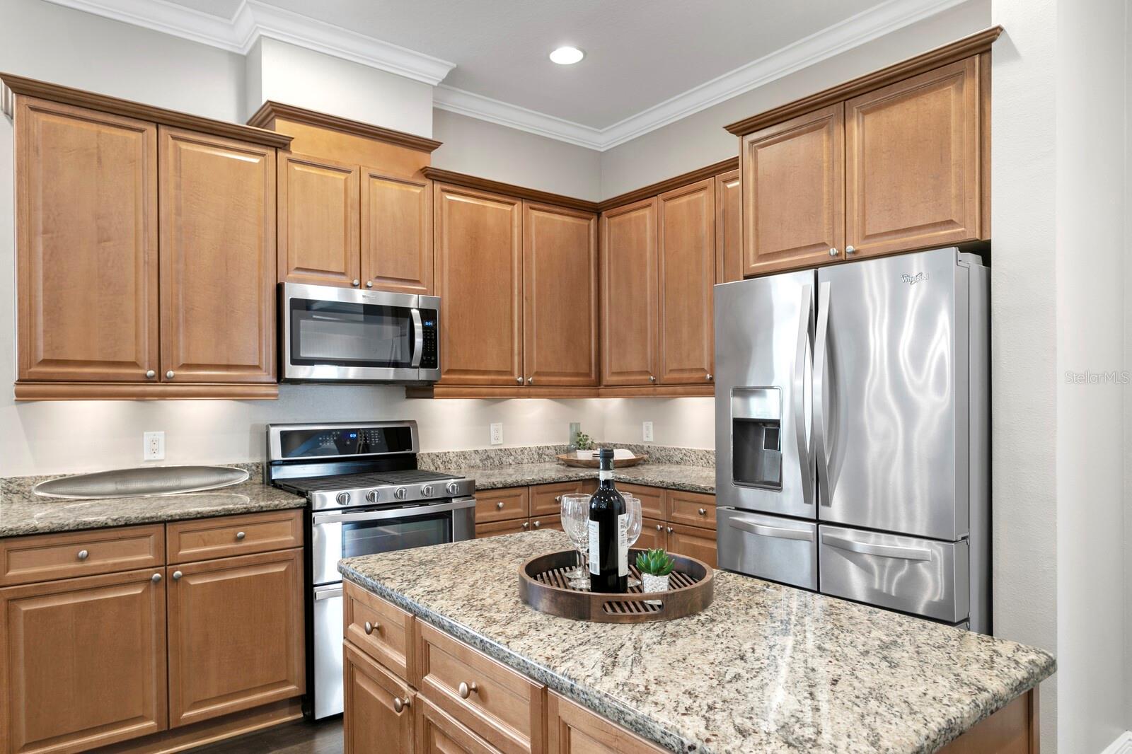 14849 TUDOR CHASE DR, TAMPA, FL, 33626