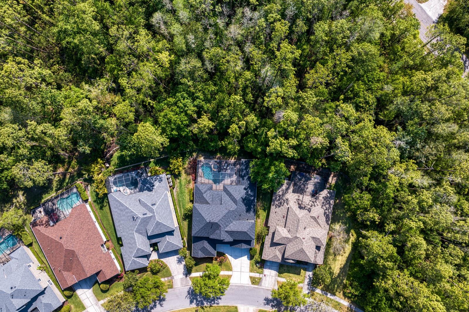 14849 TUDOR CHASE DR, TAMPA, FL, 33626