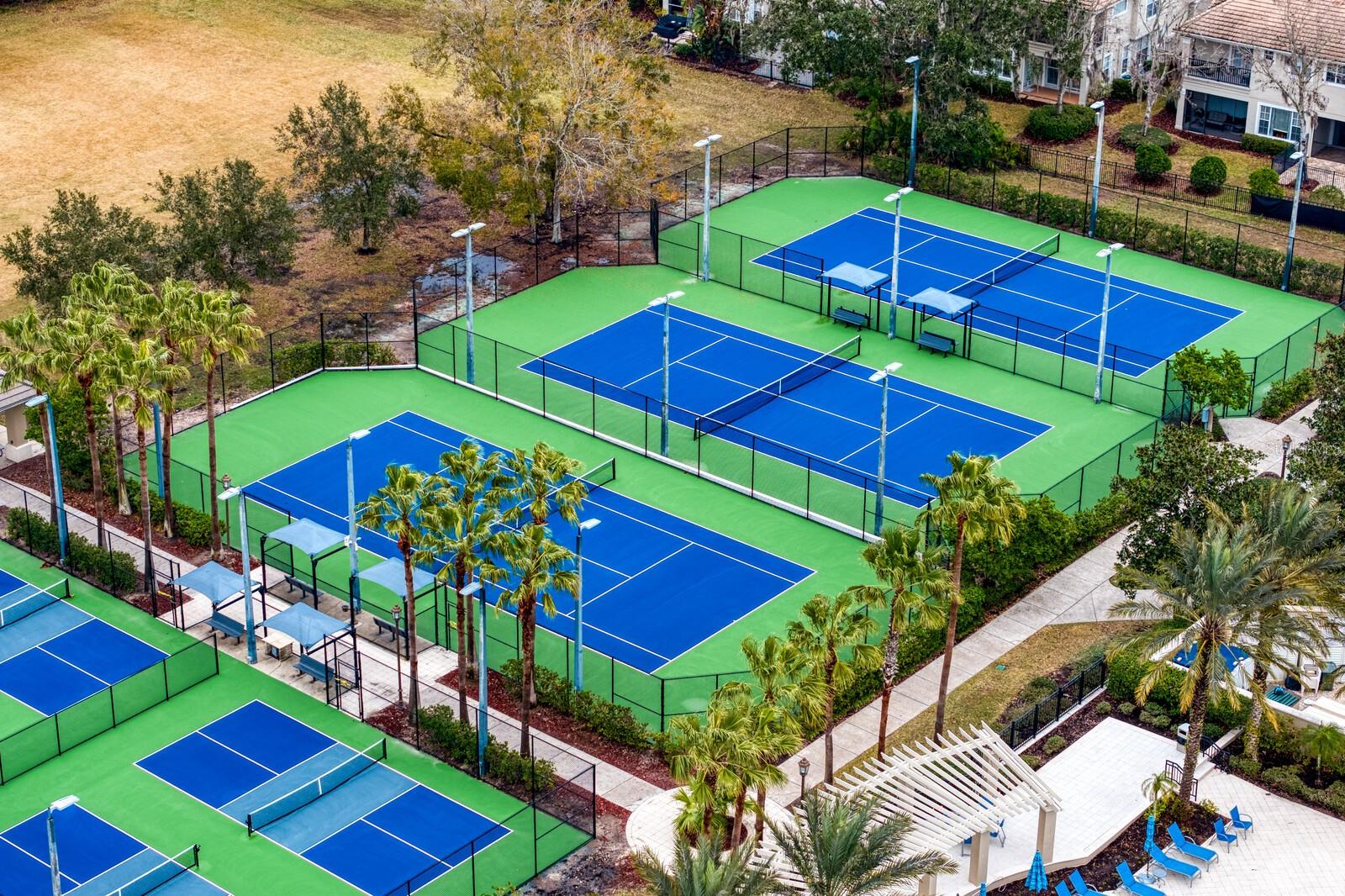 14849 TUDOR CHASE DR, TAMPA, FL, 33626