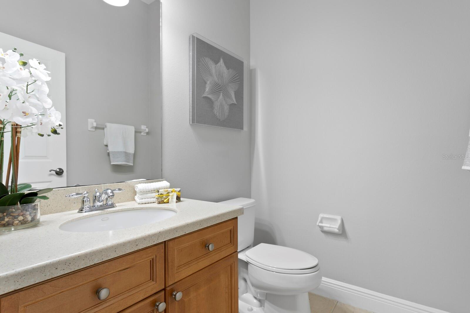 14849 TUDOR CHASE DR, TAMPA, FL, 33626