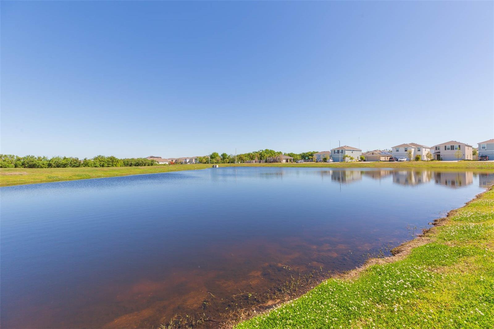 11425 STONE PINE ST, RIVERVIEW, FL, 33569