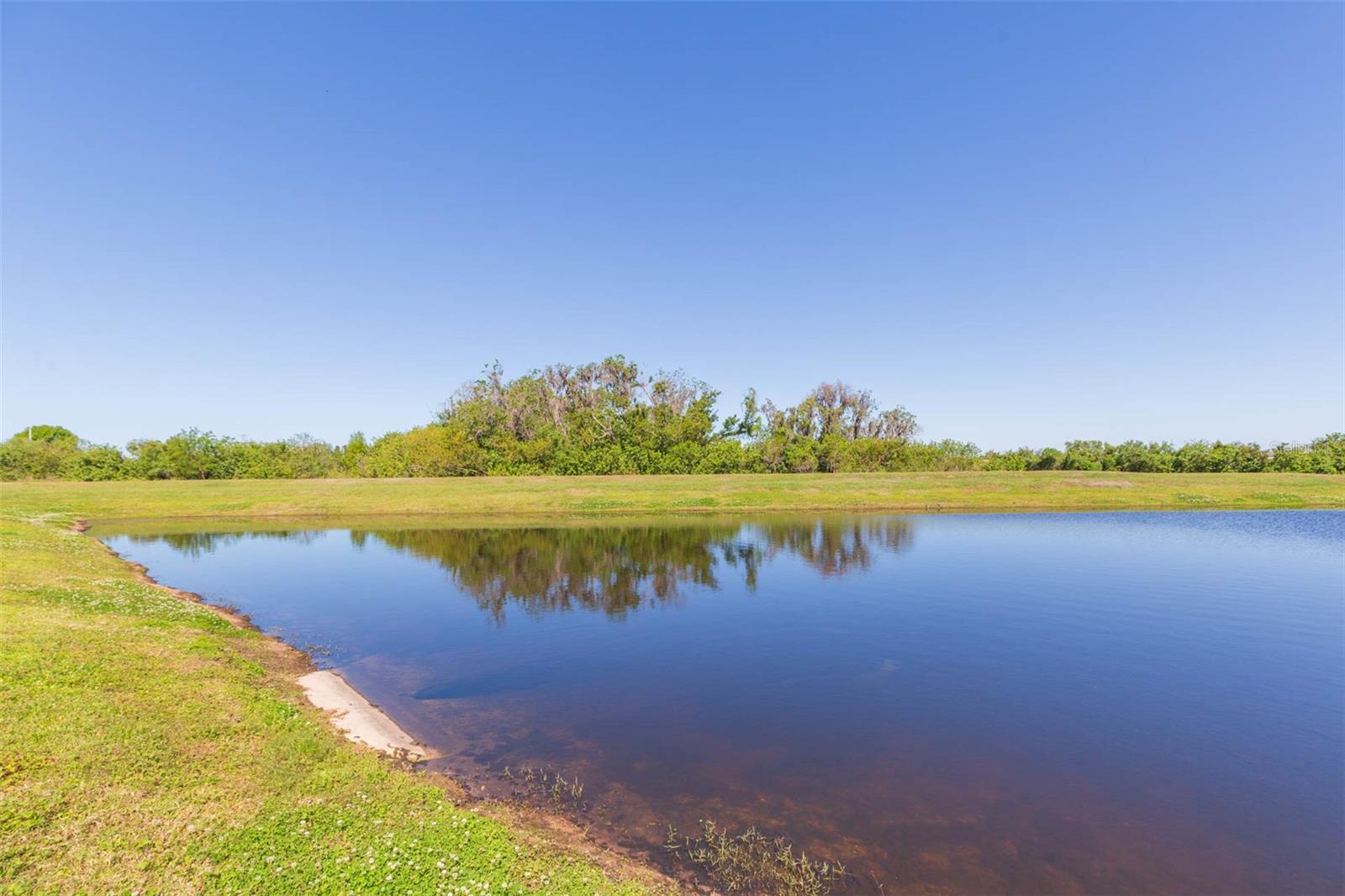 11425 STONE PINE ST, RIVERVIEW, FL, 33569