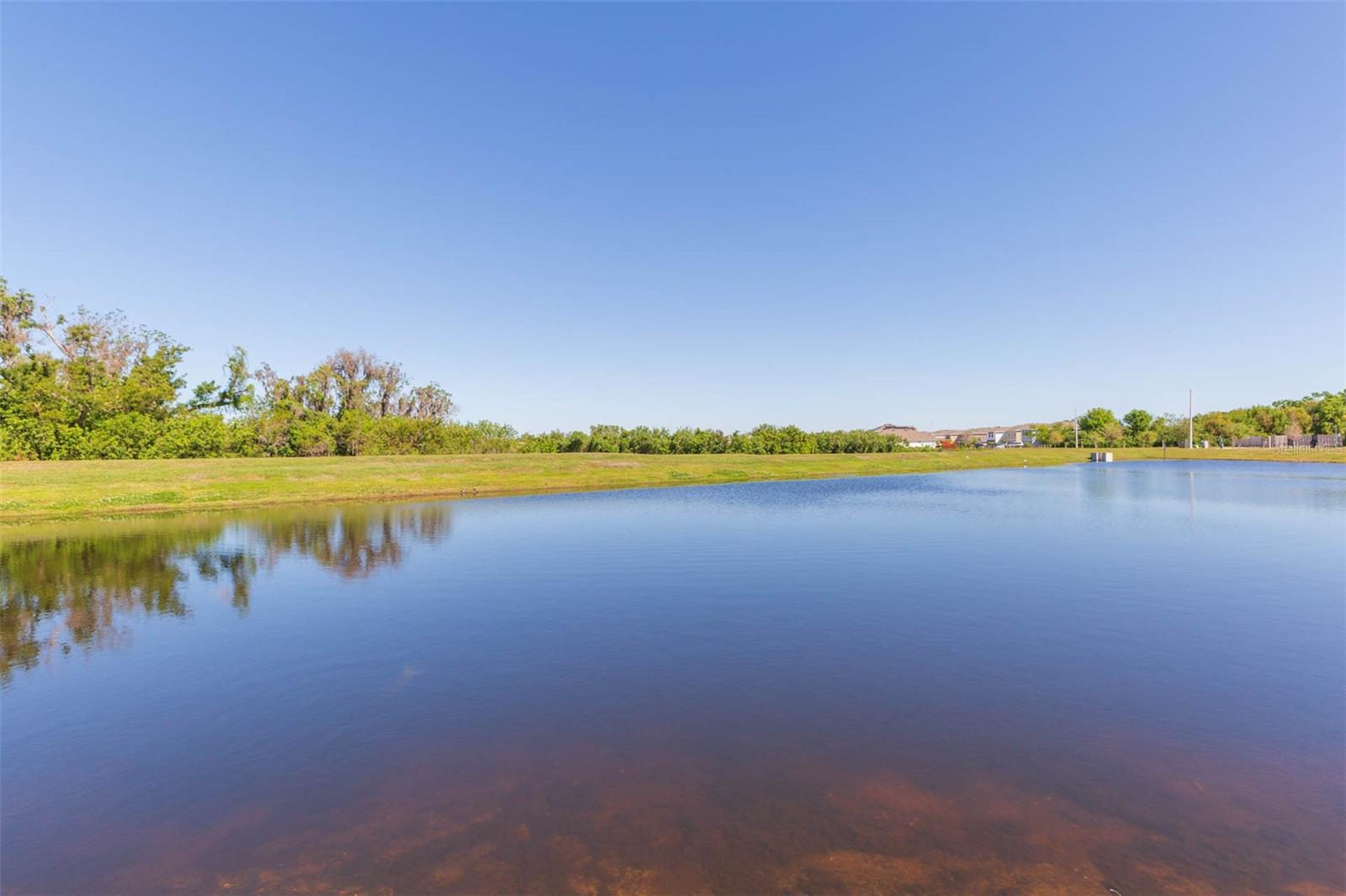 11425 STONE PINE ST, RIVERVIEW, FL, 33569
