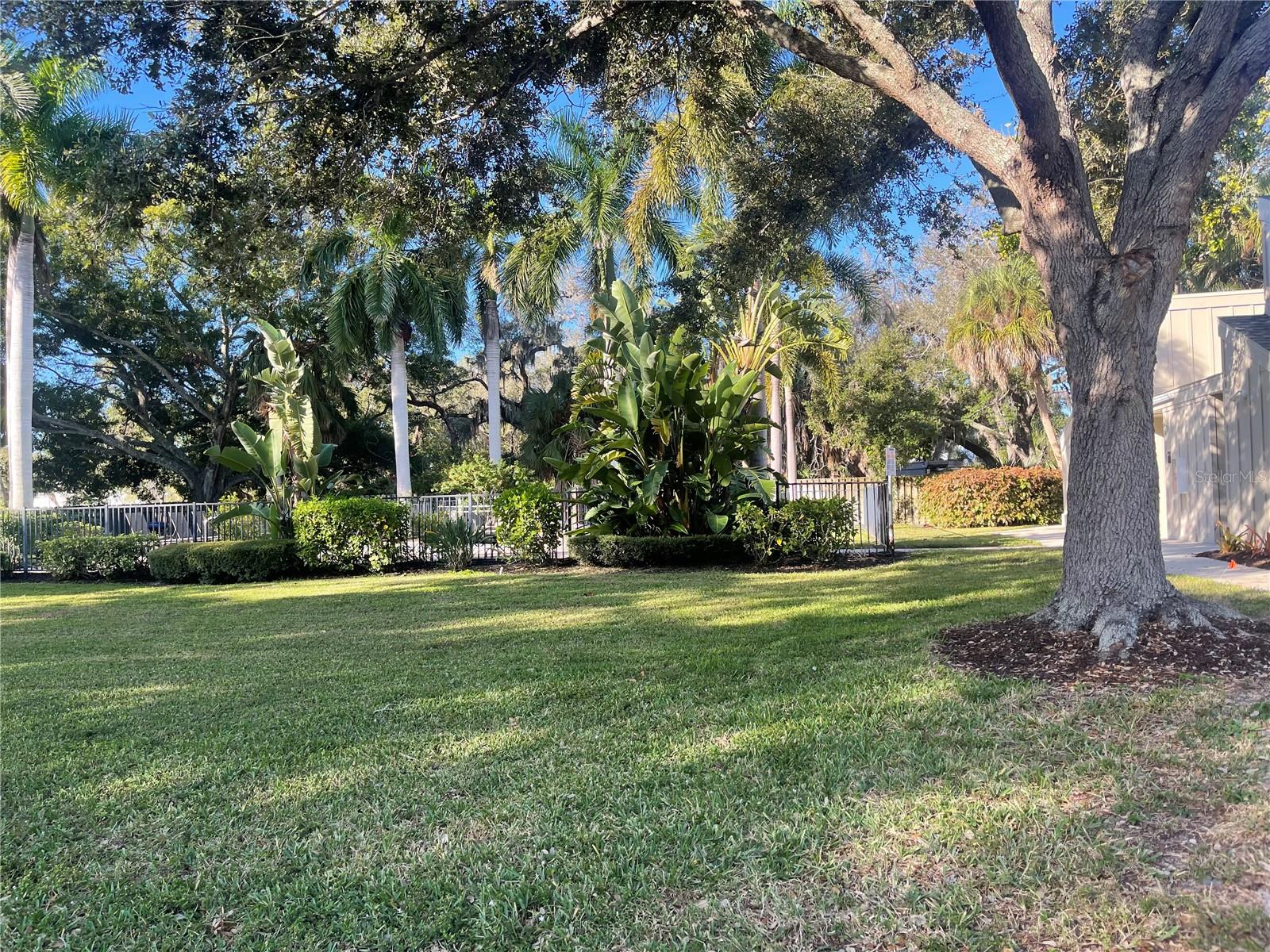 2224 BAHIA VISTA ST #E6, SARASOTA, FL, 34239