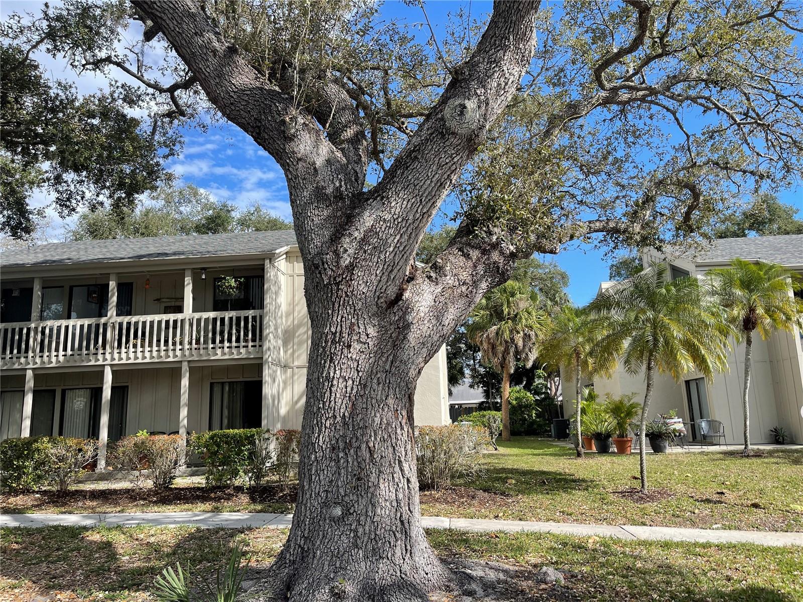 2224 BAHIA VISTA ST #E6, SARASOTA, FL, 34239