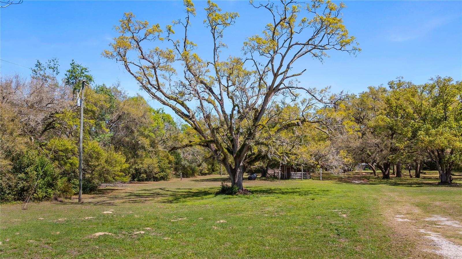 18218 RAILROAD RD, SPRING HILL, FL, 34610