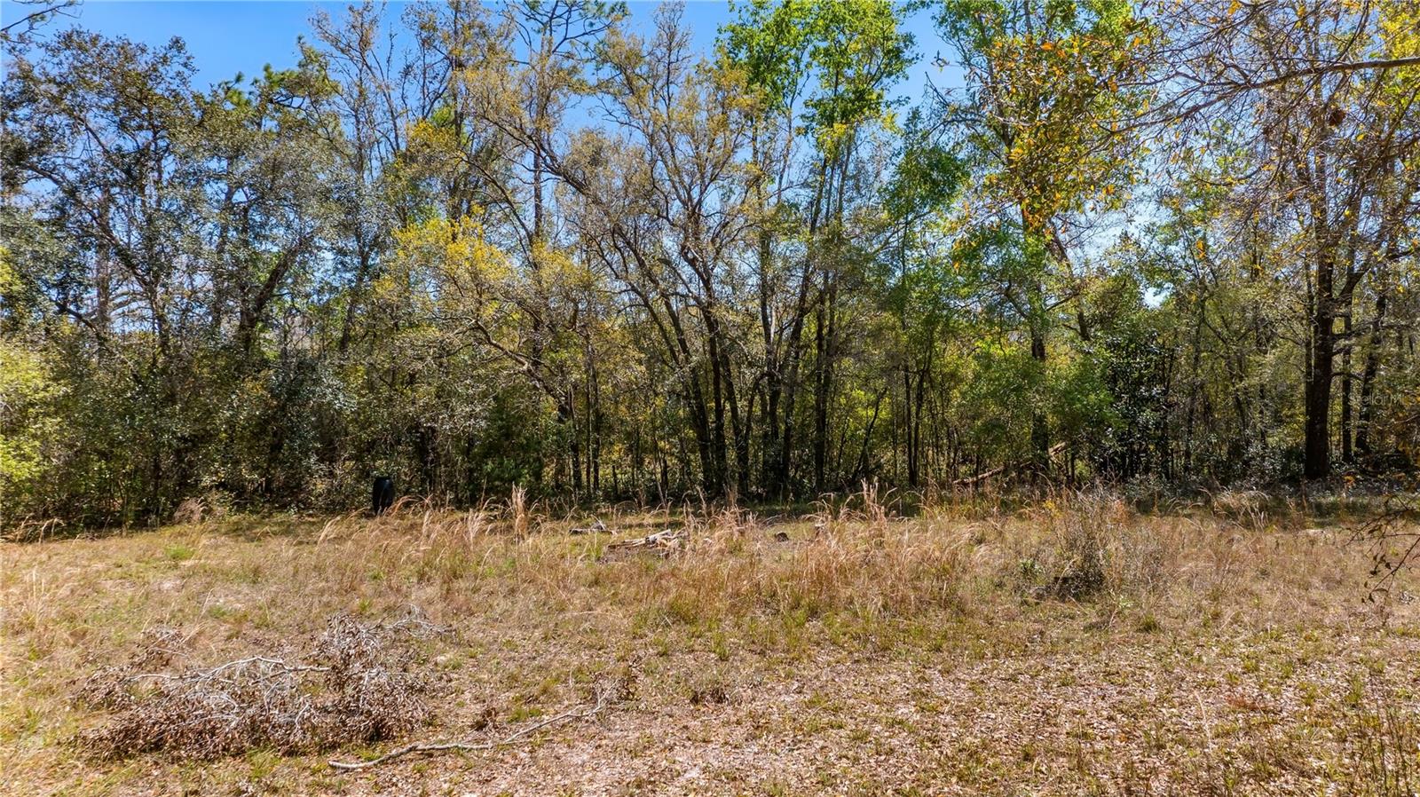 18218 RAILROAD RD, SPRING HILL, FL, 34610