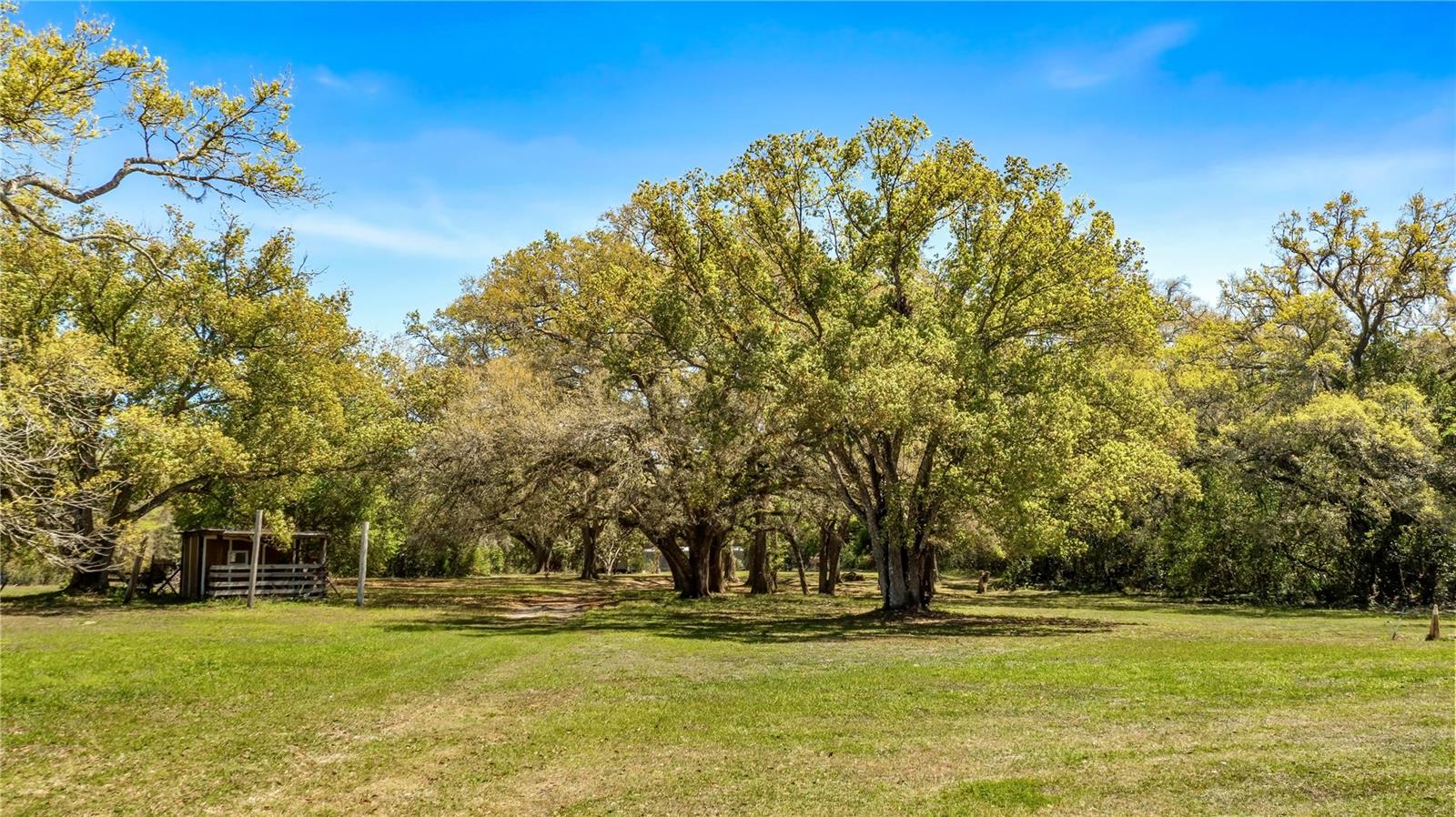 18218 RAILROAD RD, SPRING HILL, FL, 34610