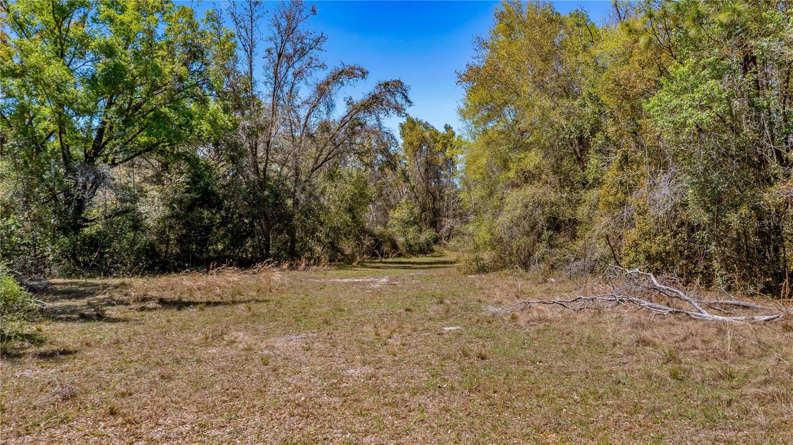 18218 RAILROAD RD, SPRING HILL, FL, 34610