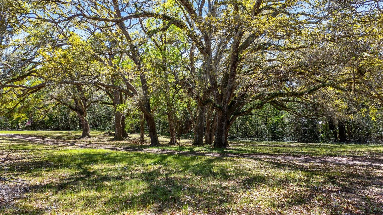 18218 RAILROAD RD, SPRING HILL, FL, 34610