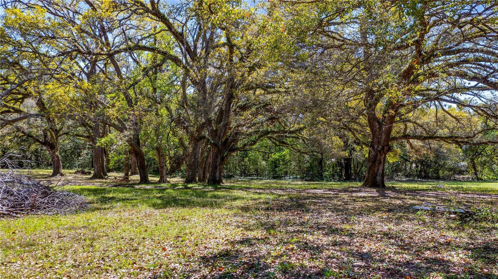 18218 RAILROAD RD, SPRING HILL, FL, 34610