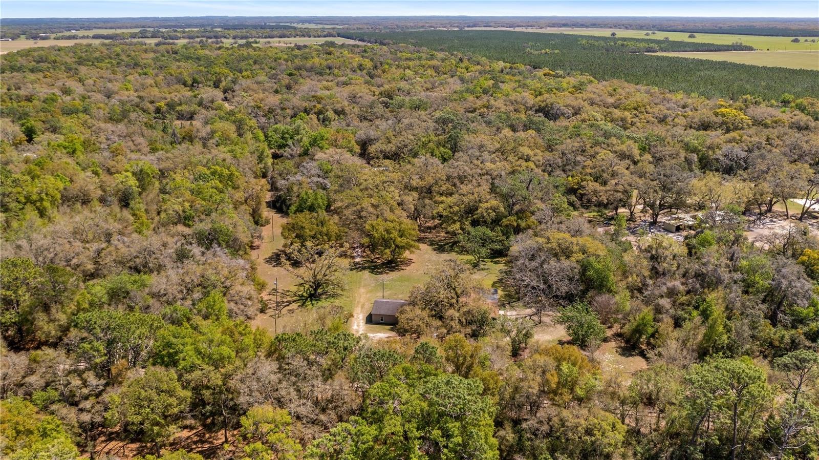 18218 RAILROAD RD, SPRING HILL, FL, 34610