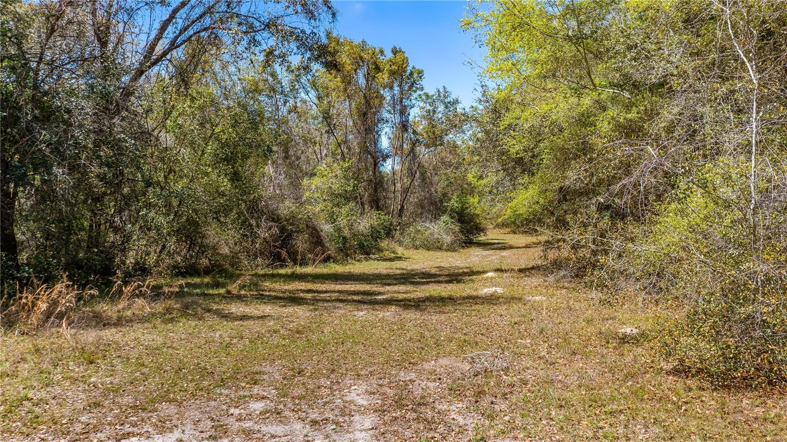 18218 RAILROAD RD, SPRING HILL, FL, 34610