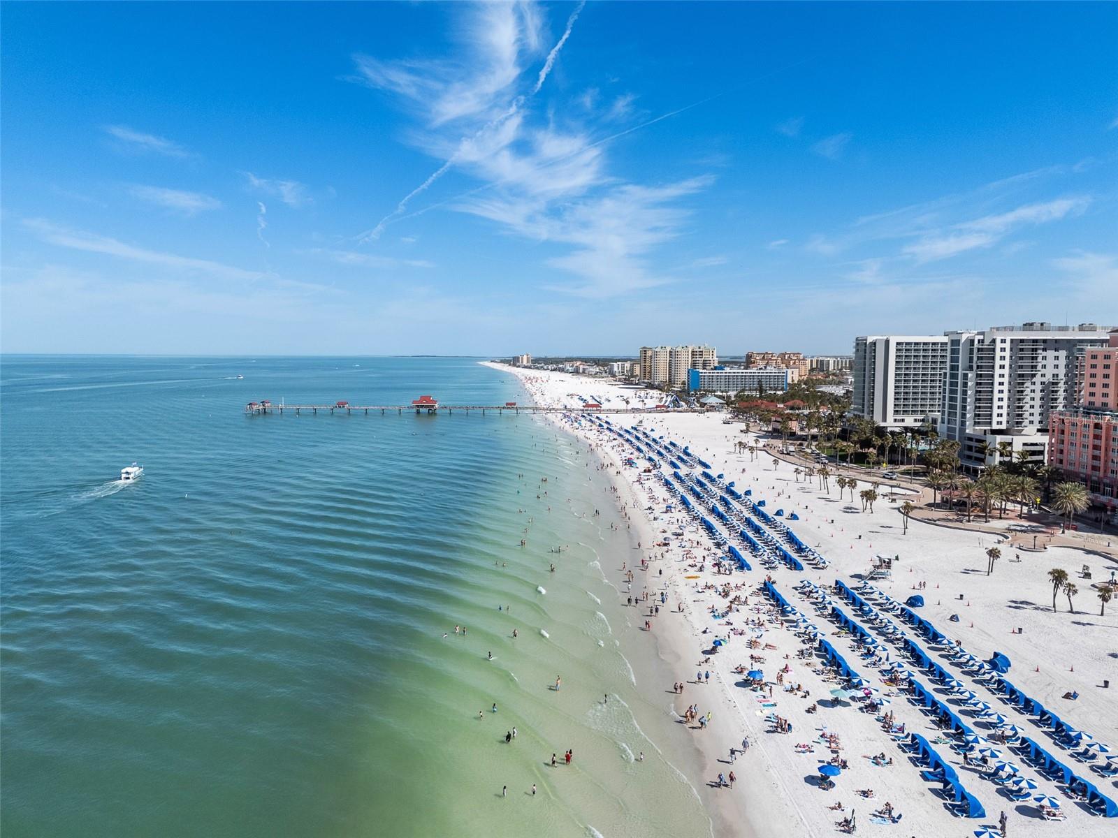 445 S GULFVIEW BLVD #313, CLEARWATER BEACH, FL, 33767