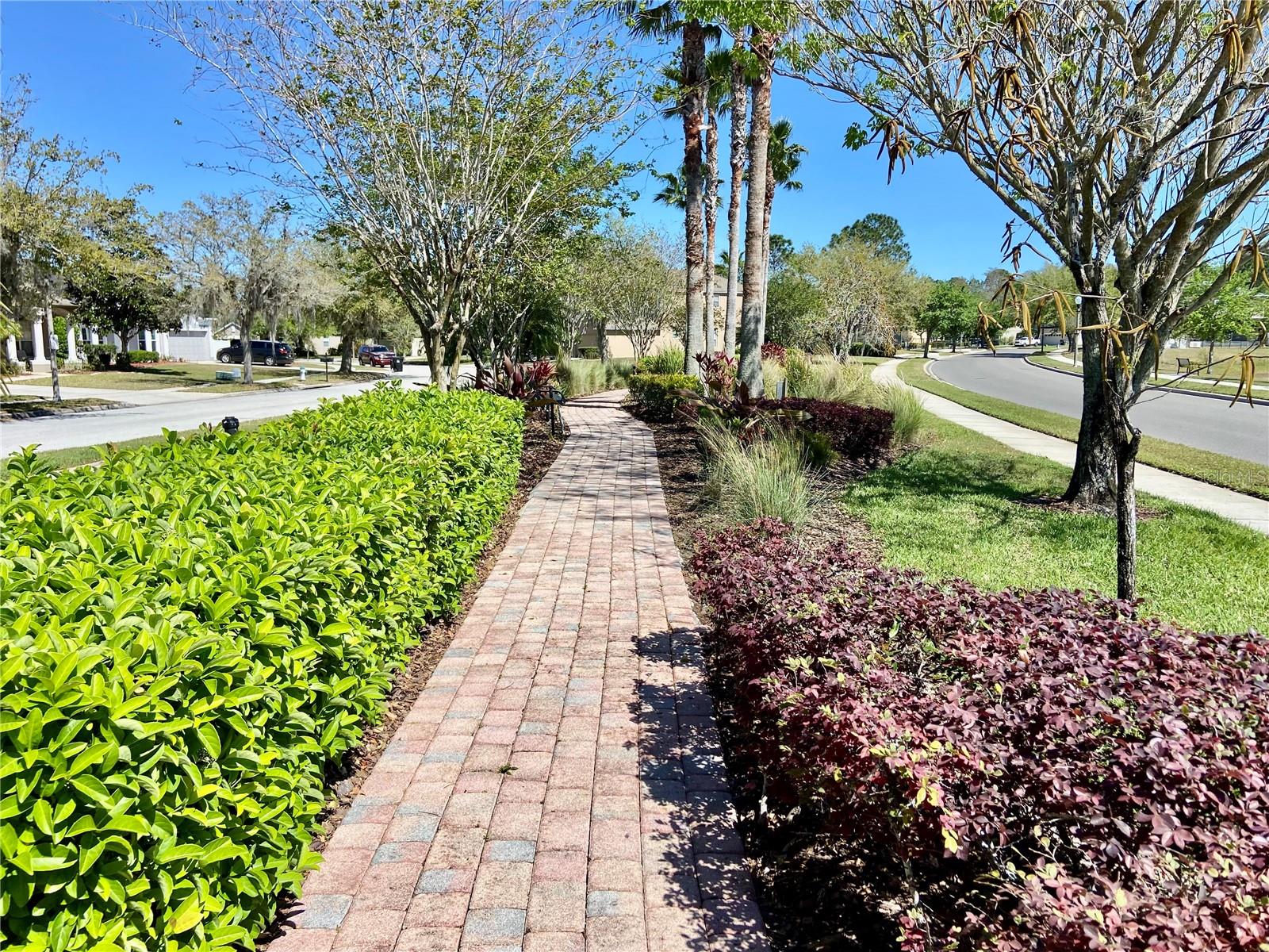 10264 OAK CREST RD, ORLANDO, FL, 32829