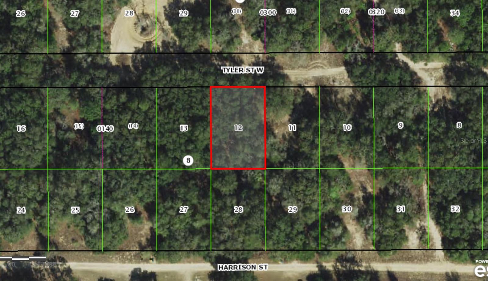 2909 TYLER ST, INVERNESS, FL, 34453