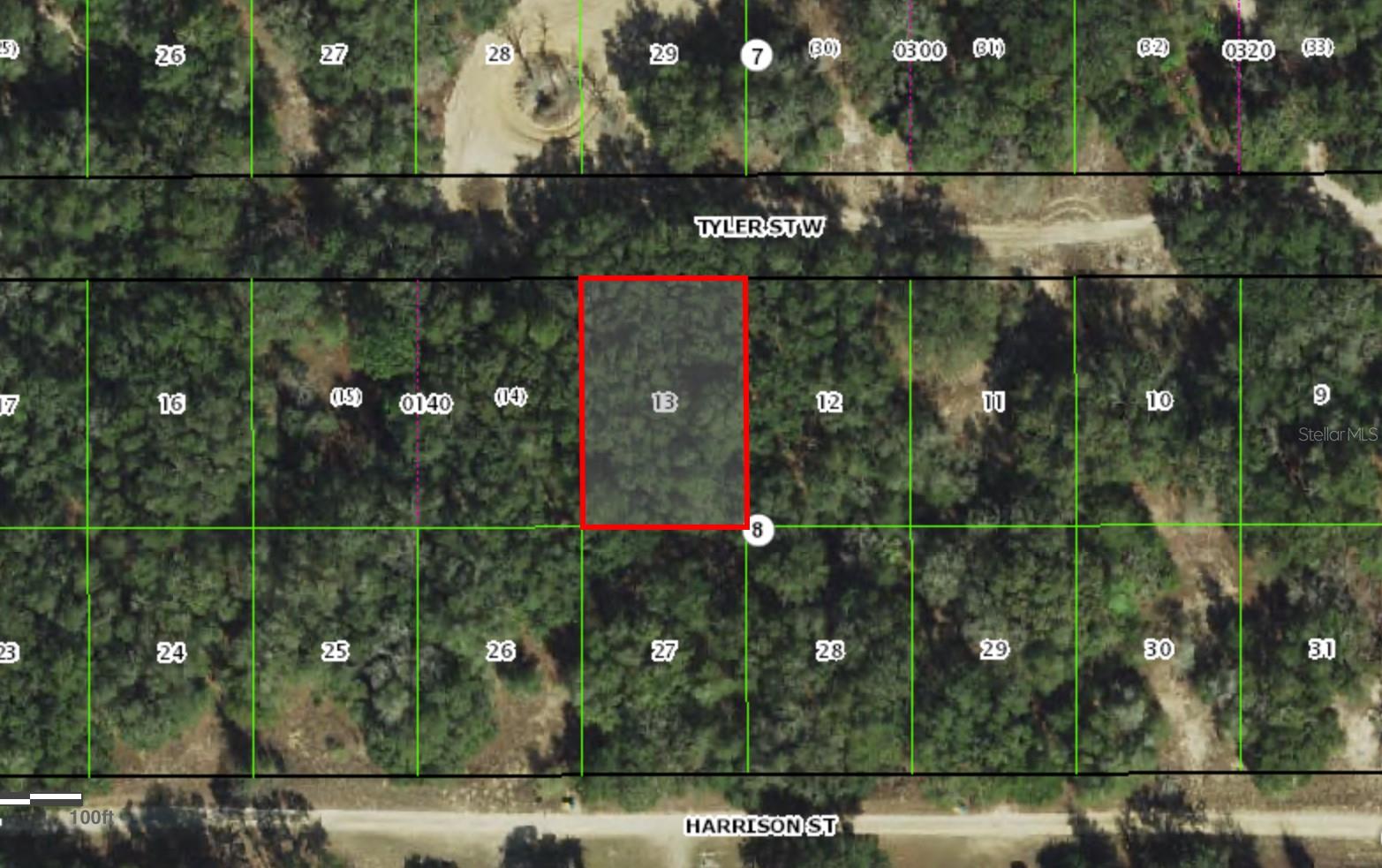 2911 TYLER ST, INVERNESS, FL, 34453