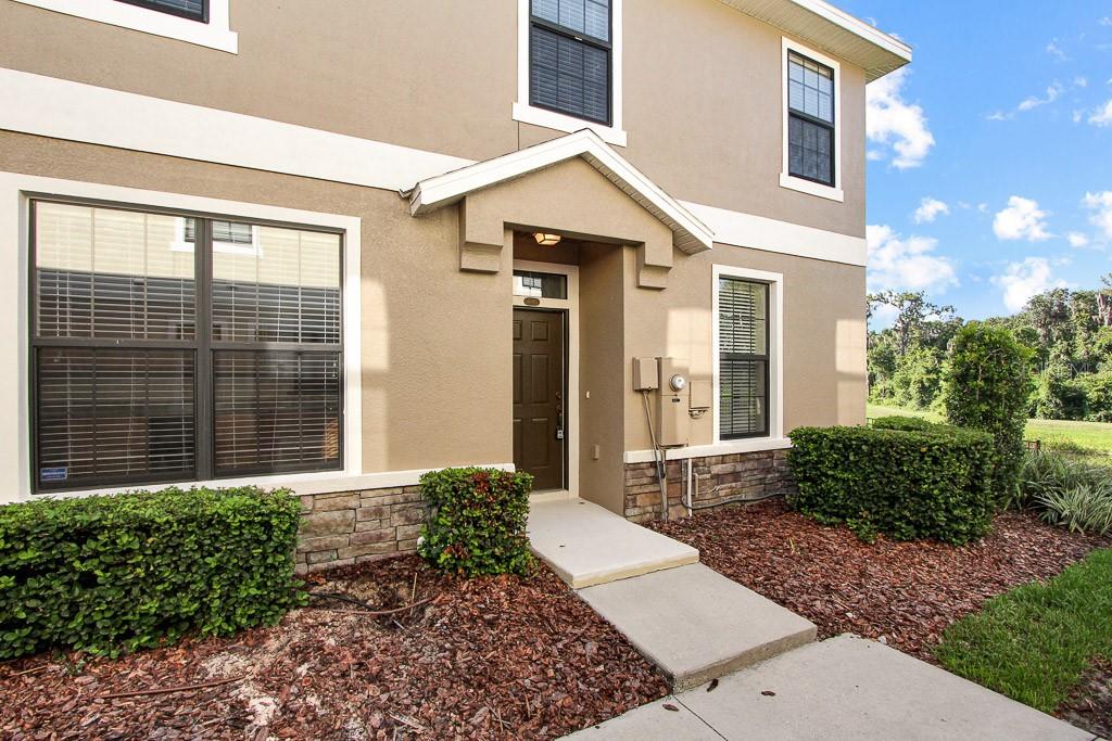 16513 KINGLETRIDGE AVE, LITHIA, FL, 33547