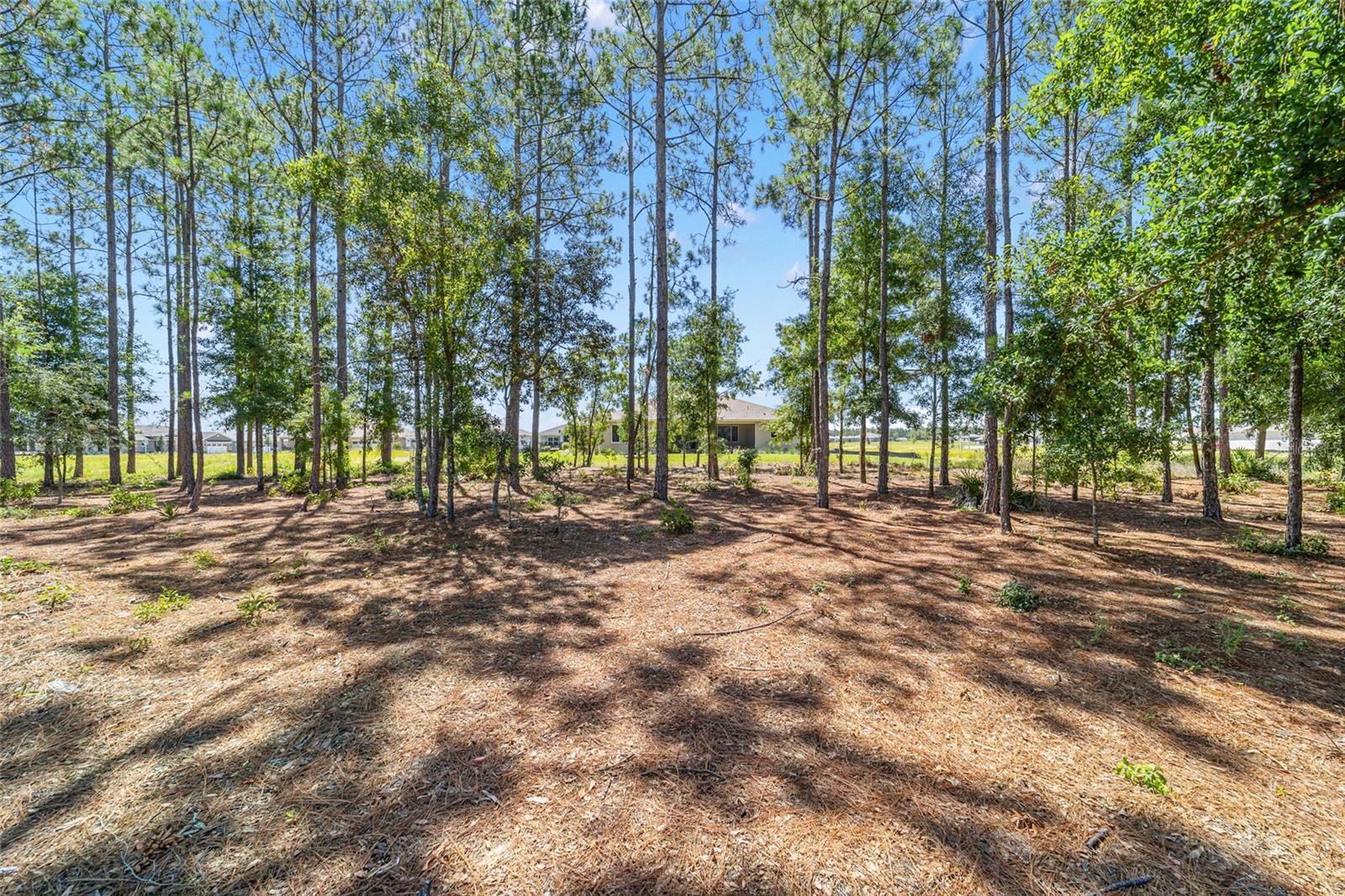 10537 SW 96TH LANE RD, OCALA, FL, 34481