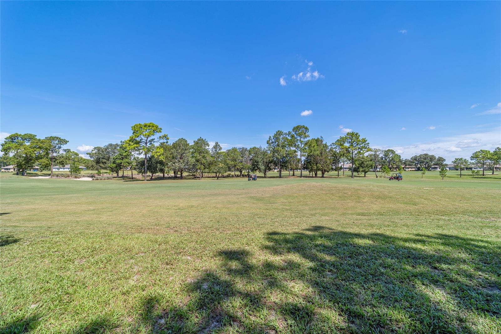10537 SW 96TH LANE RD, OCALA, FL, 34481