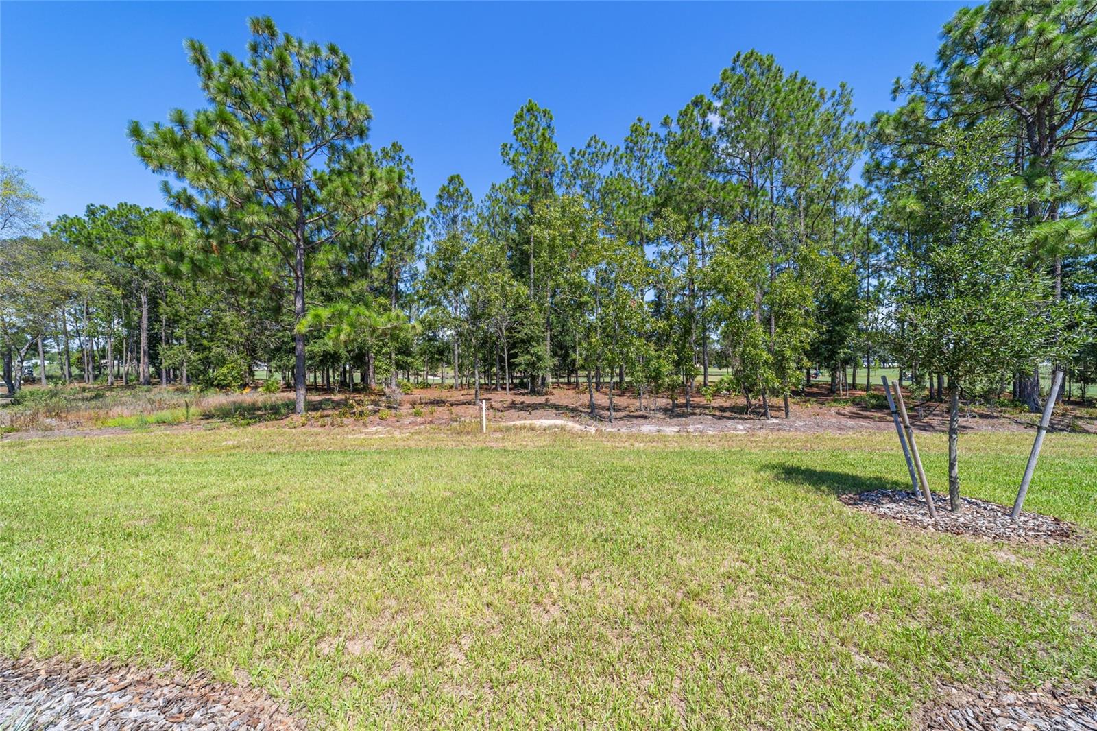 10537 SW 96TH LANE RD, OCALA, FL, 34481