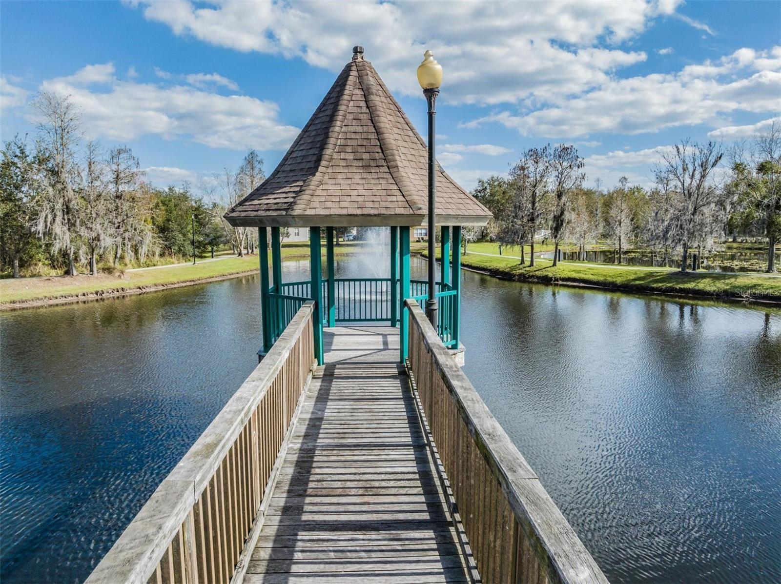 6044 SWEET WILLIAM TER, LAND O LAKES, FL, 34639