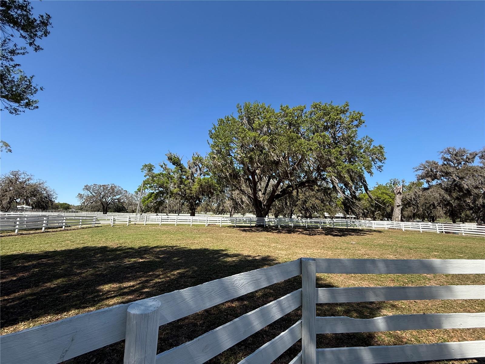 2346 SW 100TH ST, OCALA, FL, 34476