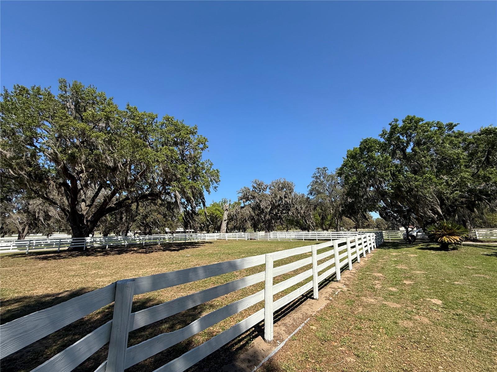 2346 SW 100TH ST, OCALA, FL, 34476