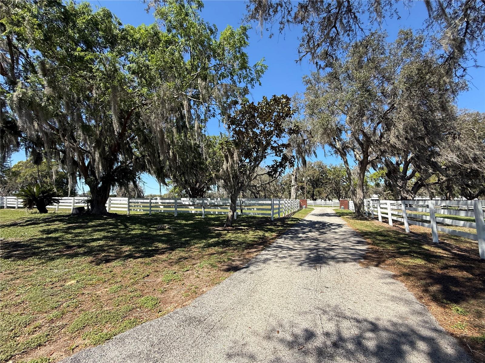 2346 SW 100TH ST, OCALA, FL, 34476