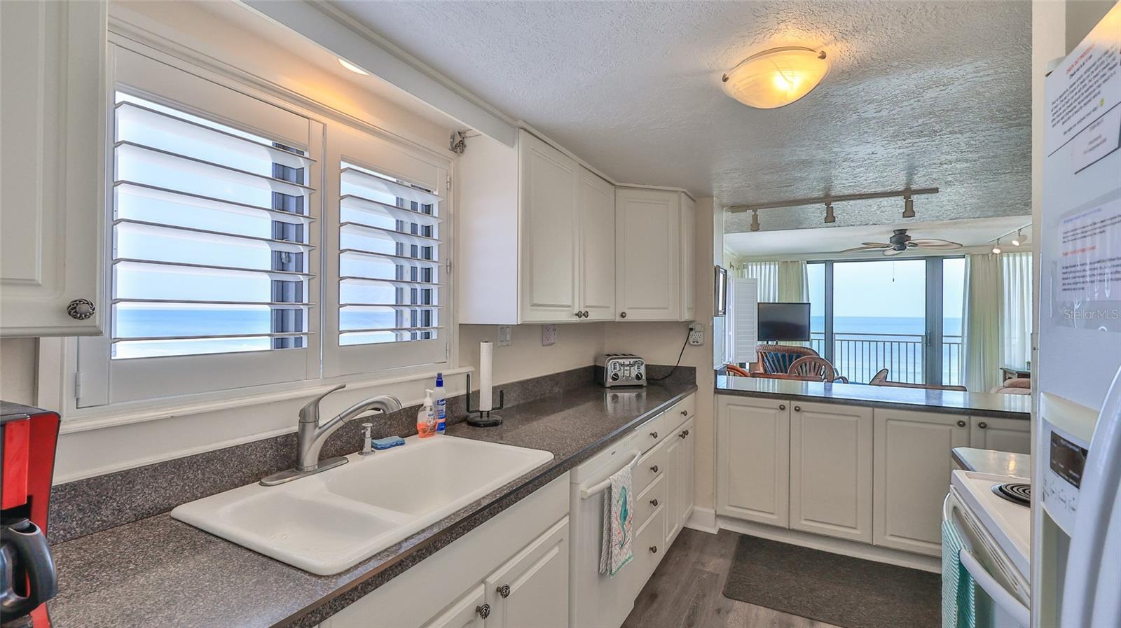 2401 S ATLANTIC AVE #D306, NEW SMYRNA BEACH, FL, 32169