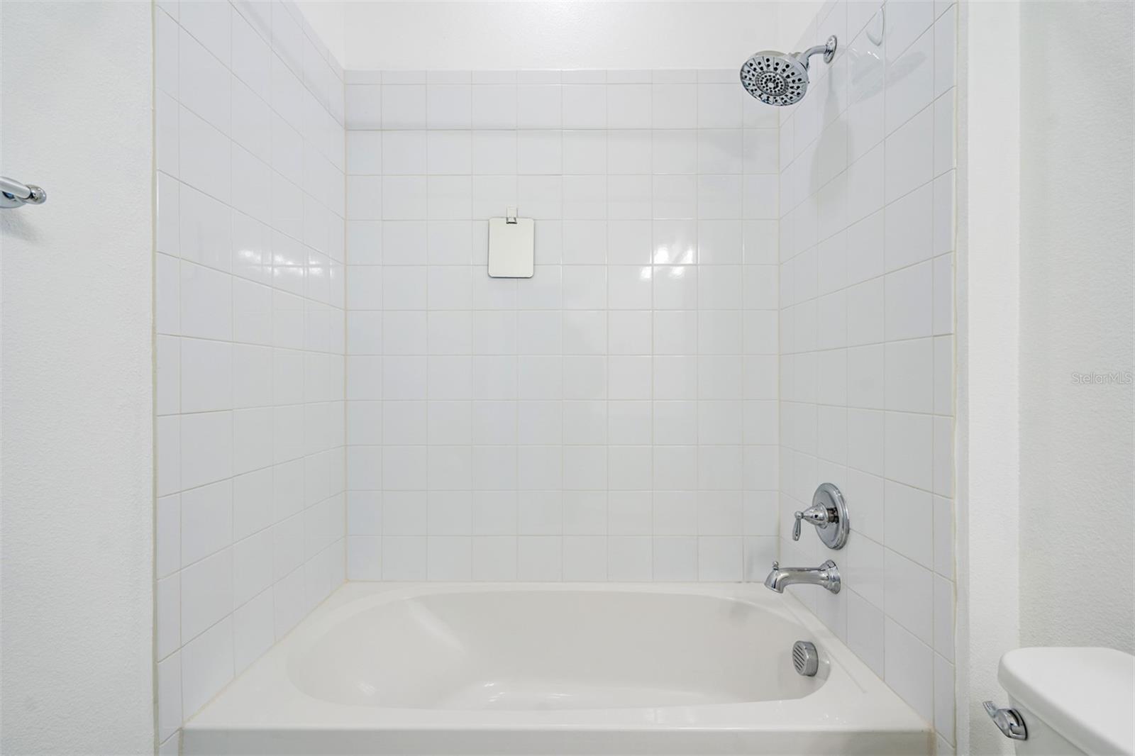 8190 OLIVE BROOK DR, WESLEY CHAPEL, FL, 33545