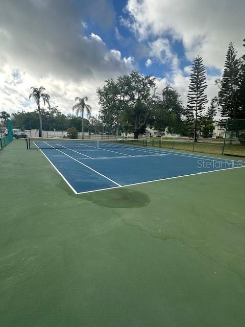 2980 HAINES BAYSHORE RD #114, CLEARWATER, FL, 33760