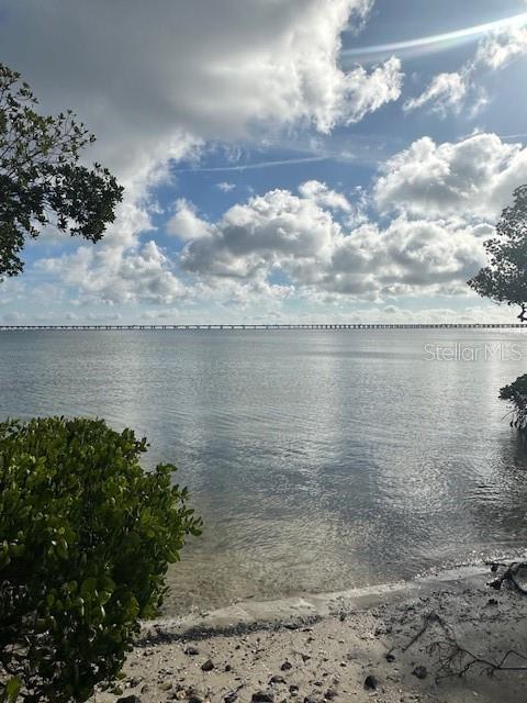 2980 HAINES BAYSHORE RD #114, CLEARWATER, FL, 33760