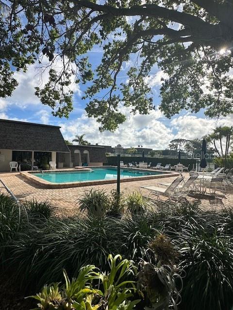 2980 HAINES BAYSHORE RD #114, CLEARWATER, FL, 33760