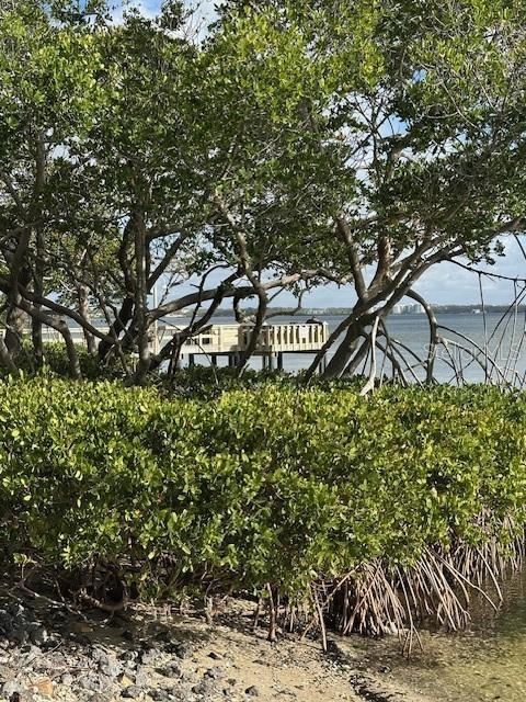 2980 HAINES BAYSHORE RD #114, CLEARWATER, FL, 33760