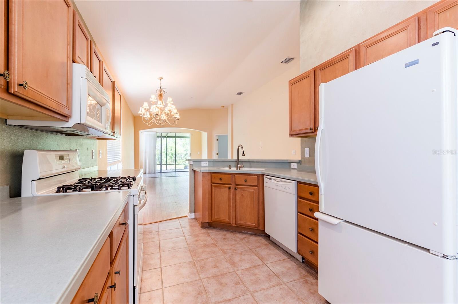 19200 WEYMOUTH DR, LAND O LAKES, FL, 34638