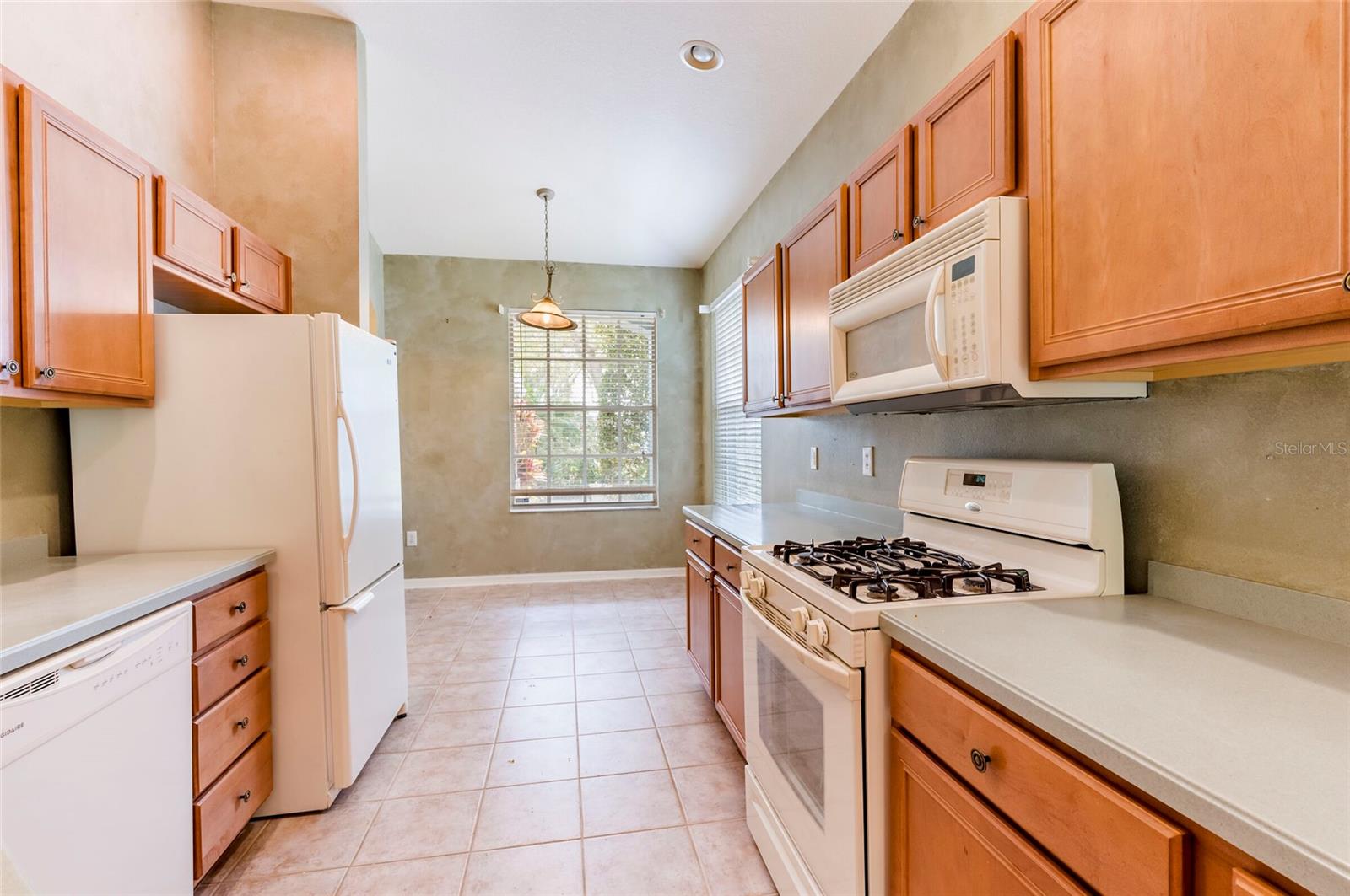 19200 WEYMOUTH DR, LAND O LAKES, FL, 34638