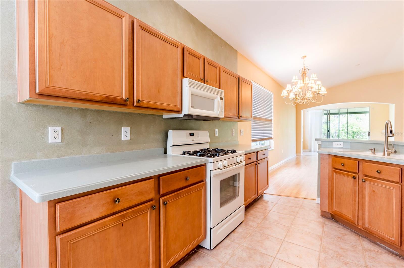 19200 WEYMOUTH DR, LAND O LAKES, FL, 34638
