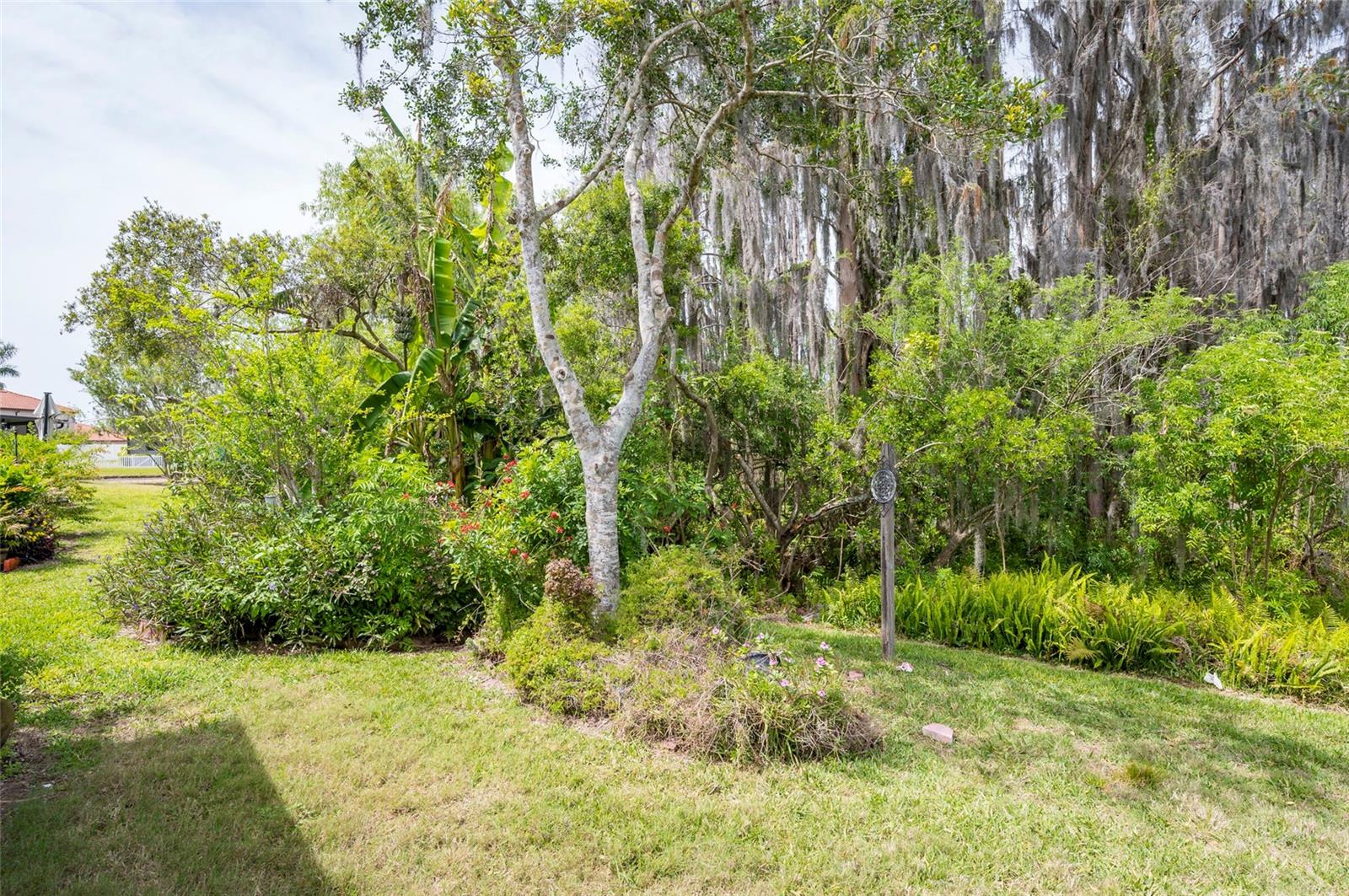 19200 WEYMOUTH DR, LAND O LAKES, FL, 34638