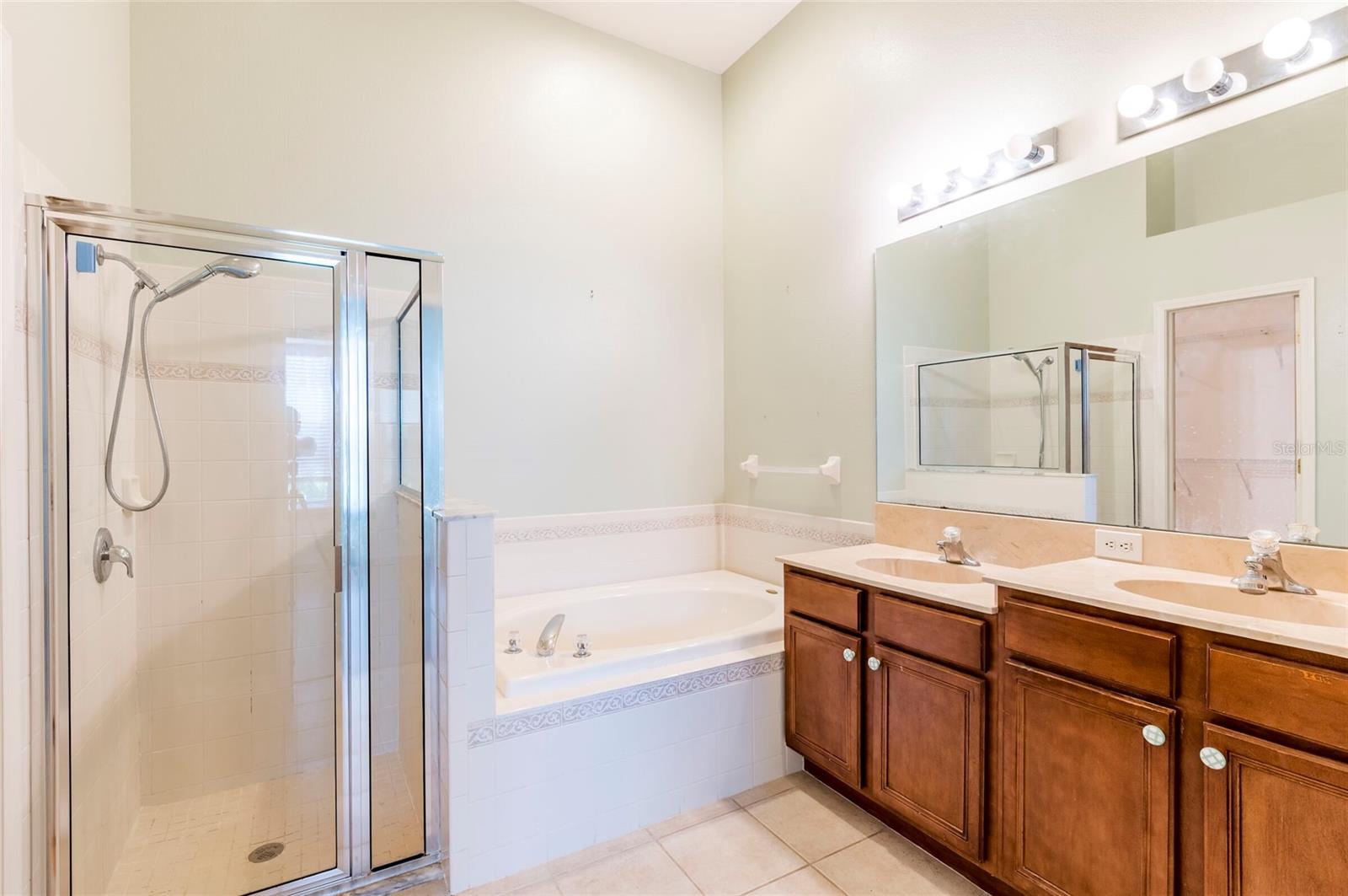 19200 WEYMOUTH DR, LAND O LAKES, FL, 34638