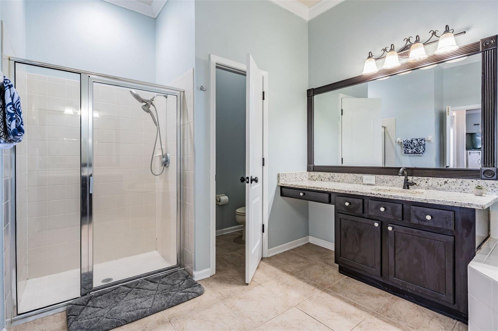 5050 ALDERBROOK PL, LAND O LAKES, FL, 34638