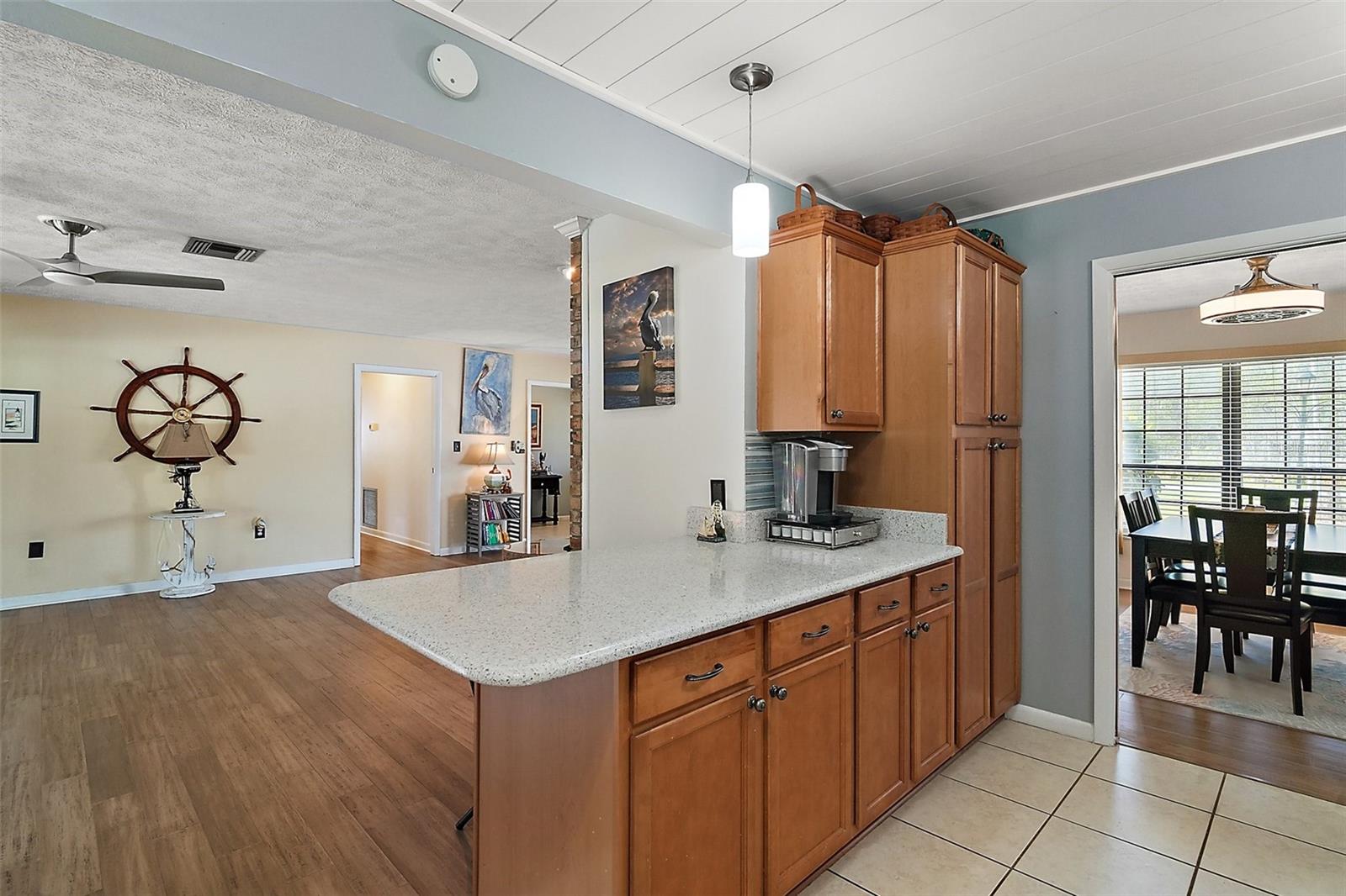 28416 TAMMI DR, TAVARES, FL, 32778