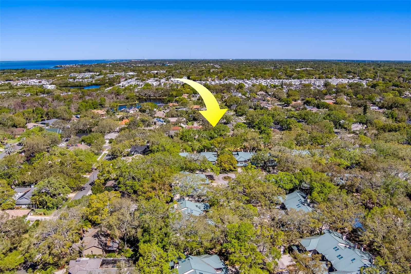 1439 WETHERINGTON WAY, PALM HARBOR, FL, 34683