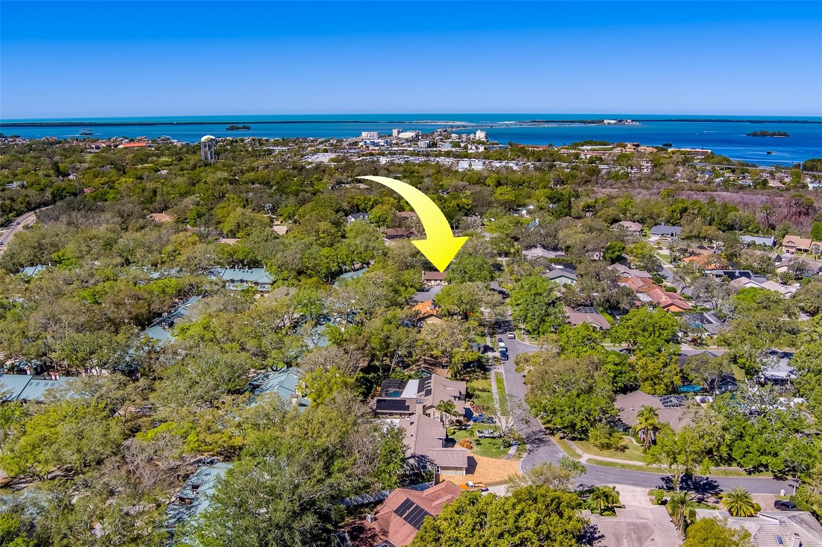1439 WETHERINGTON WAY, PALM HARBOR, FL, 34683