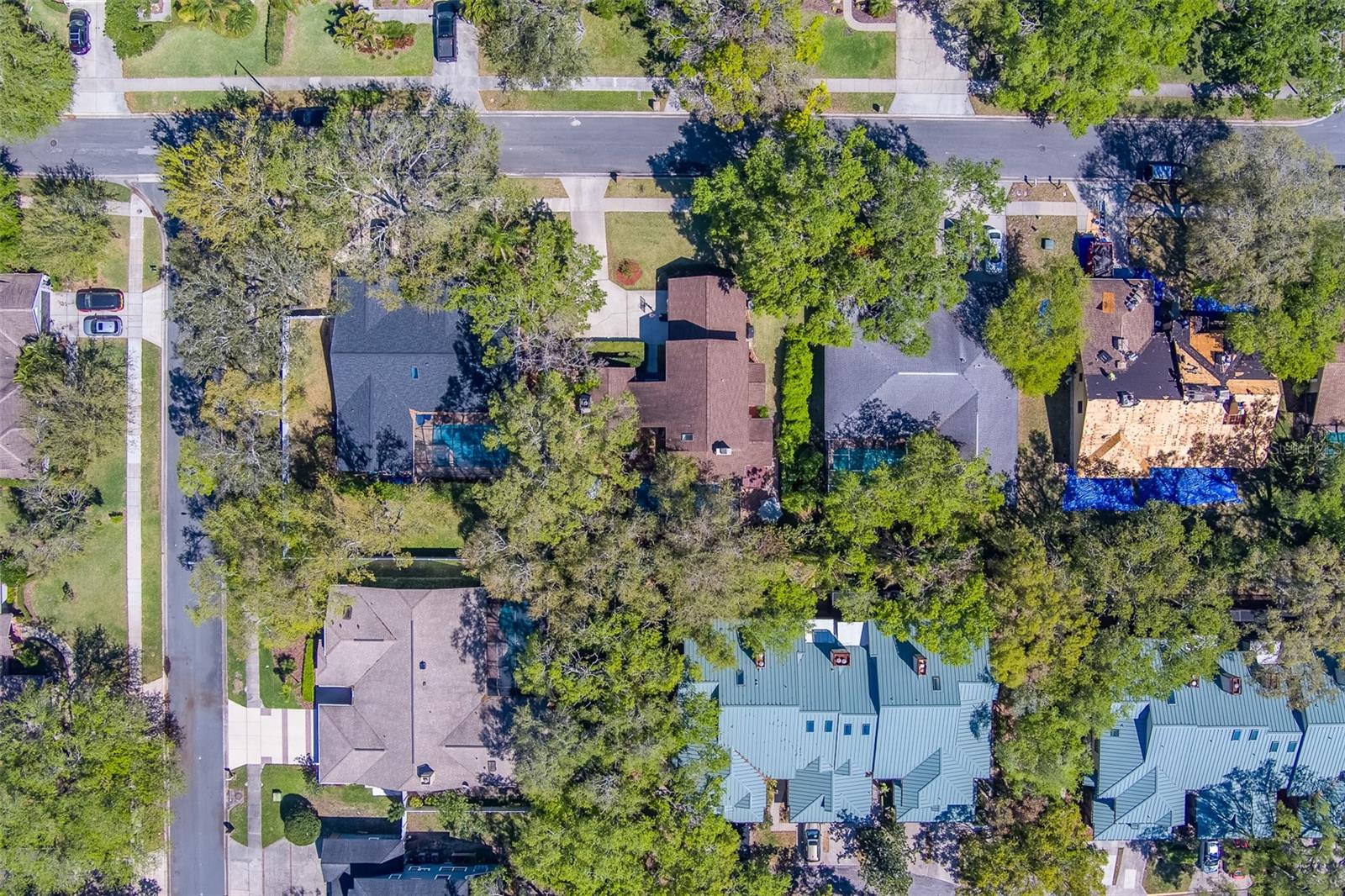 1439 WETHERINGTON WAY, PALM HARBOR, FL, 34683